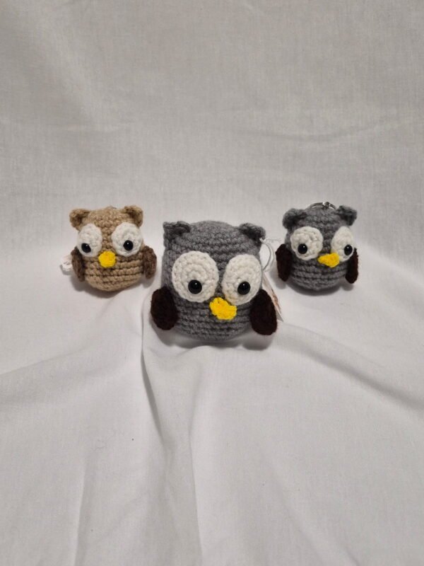 Little Owl