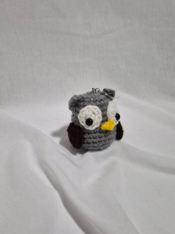 Little Owl