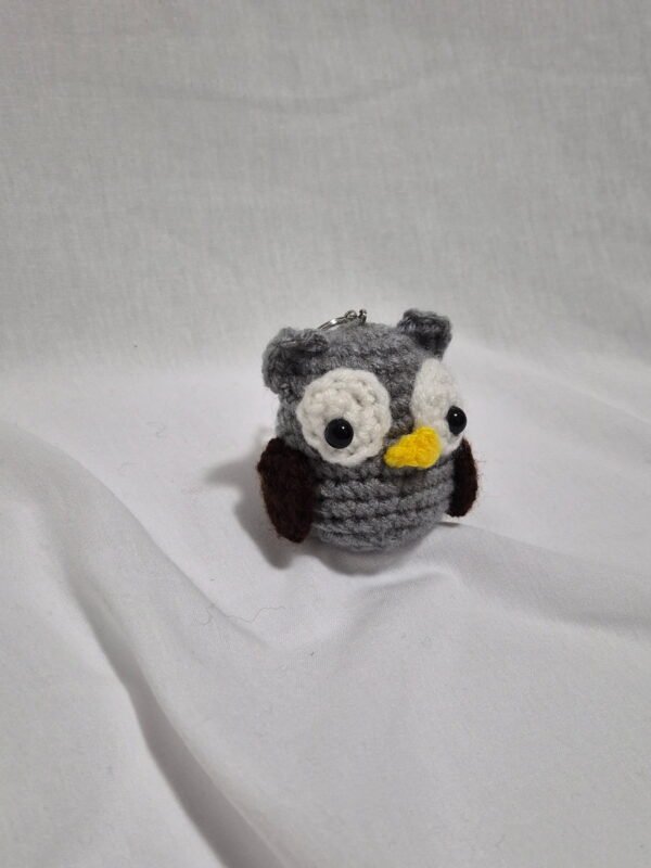 Little Owl
