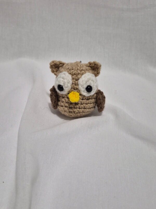 Little Owl