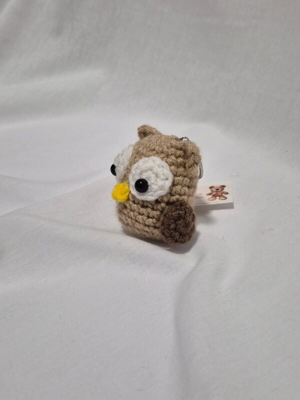 Little Owl