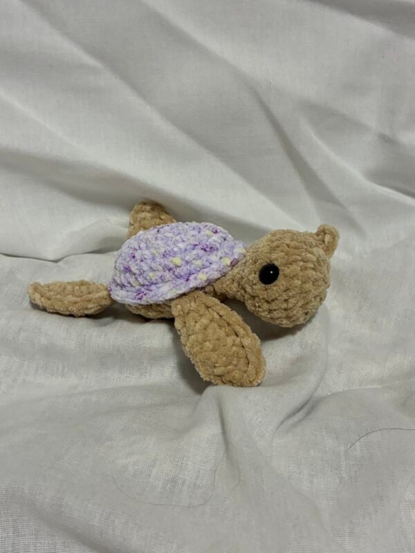 Special Edition Sea Turtle