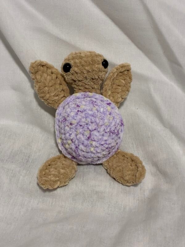 Special Edition Sea Turtle