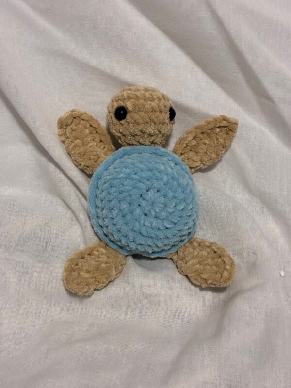Special Edition Sea Turtle