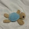 Special Edition Sea Turtle