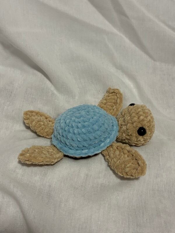 Special Edition Sea Turtle