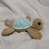 Special Edition Sea Turtle