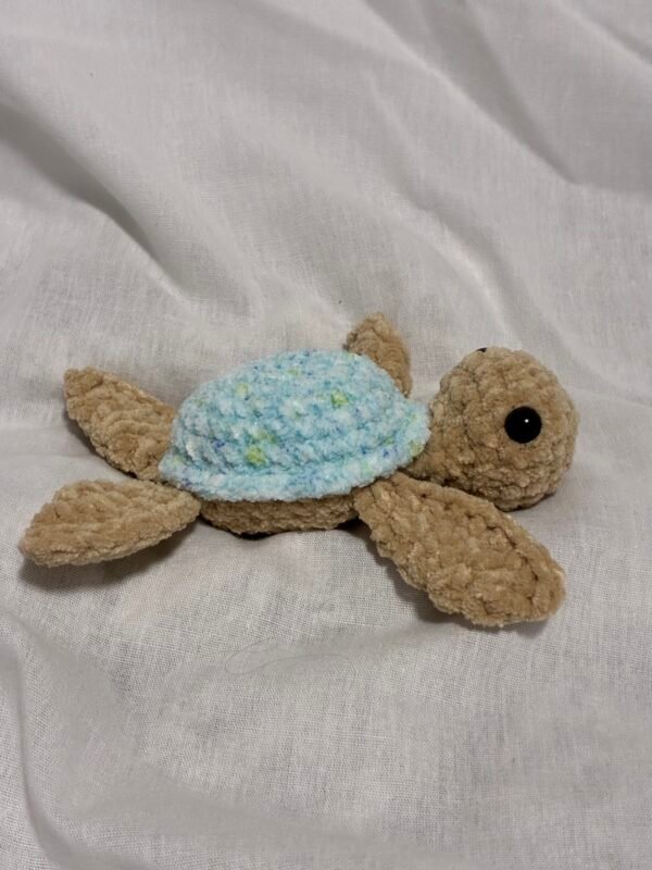 Special Edition Sea Turtle
